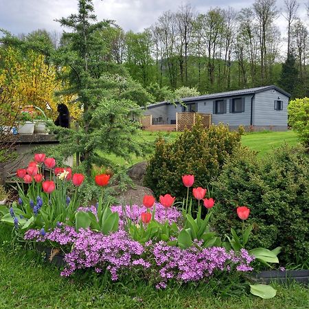 Chata Idylka - Nova Chata Se Zahradou Loučná nad Desnou Exterior foto