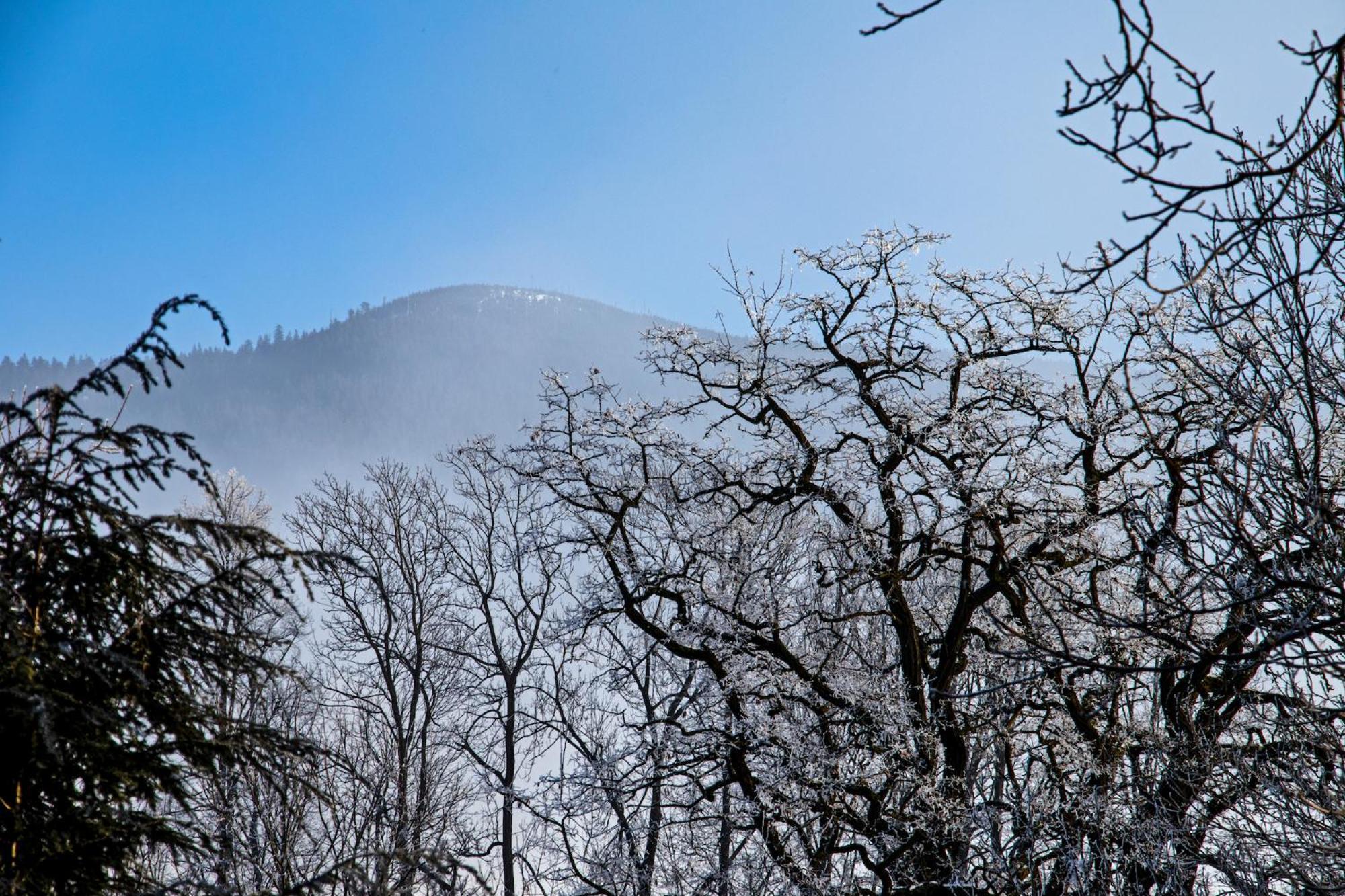 Chata Idylka - Nova Chata Se Zahradou Loučná nad Desnou Exterior foto